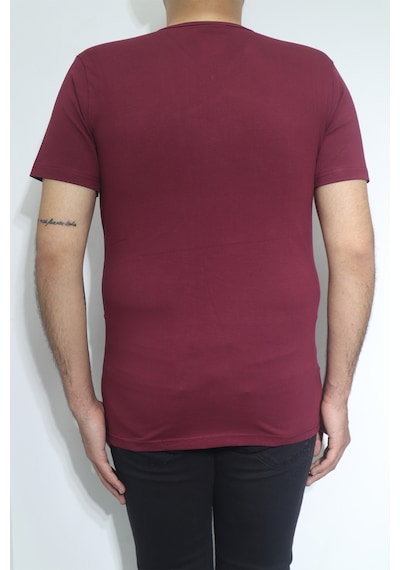 Santa Dmctekstil Erkek Düz Spor Kesim Dar Kalıp V-yaka T-shirt Bordo