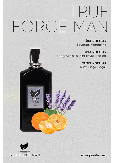 Azura E105 Style Erkek Parfüm EDP 60 ML