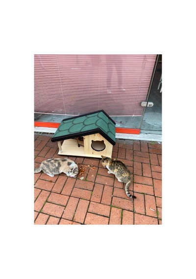 Kedi Yuvası Kedi Evi Özel Üretim İç Ve Dış Mekan Tırmalama Ve Mama Kablı 74x45 Cm