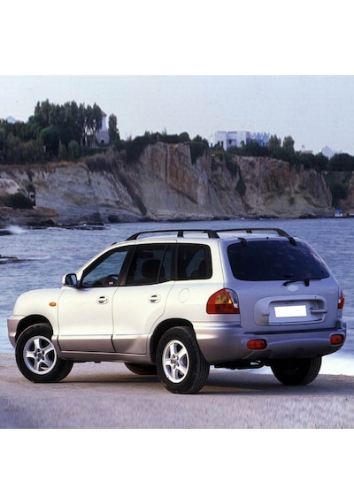 Hyundai Santa Fe 00-06 Arka Bagaj Kapak Amortisörü Pistonu 1 Ad.