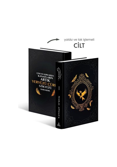 Toktiker - Ciltli