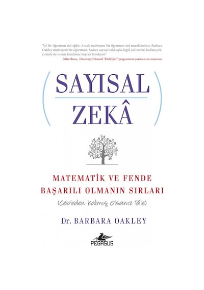 Sayısal Zeka Matematik Ve Fende Başarılı Olmanın Sırları (Cebi