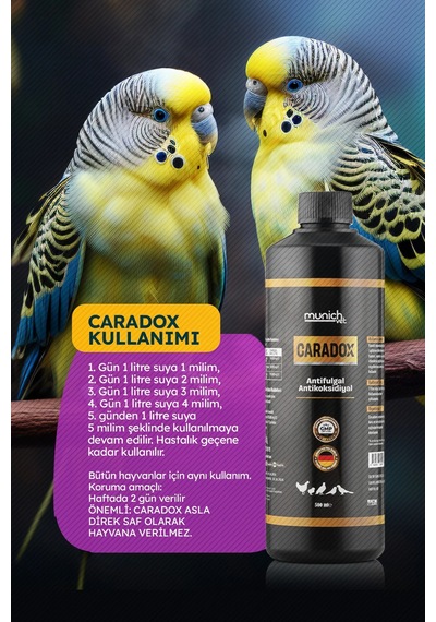 Caradox Kursak Mantarı Peynirleşme Pamukcuk Ürünü 500 Ml