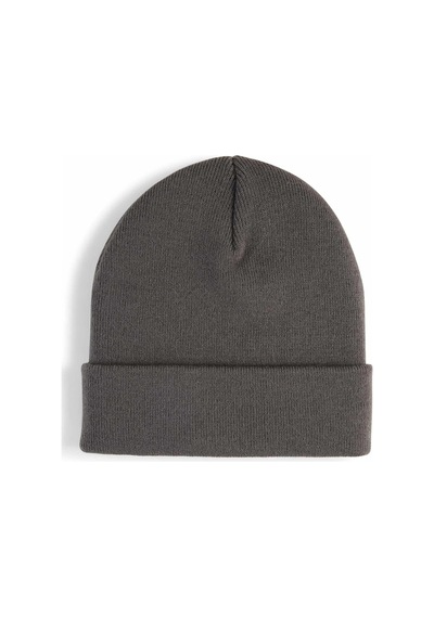 Xmlbayiciniz Puma Metalpumacat Highcrownbeanie Bere Unisex Yetişkin Çok Renkli