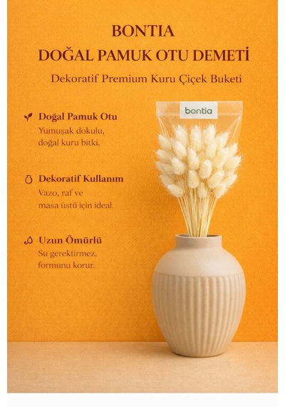 Doğal Pamuk Otu Demeti Dekoratif Kuru Çiçek, Uzun Ömürlü Premium Lagurus Doğal Renk