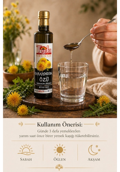 Tijda Taraxacum Officinale Karahindiba Kökü Bitki Özü 250 ML