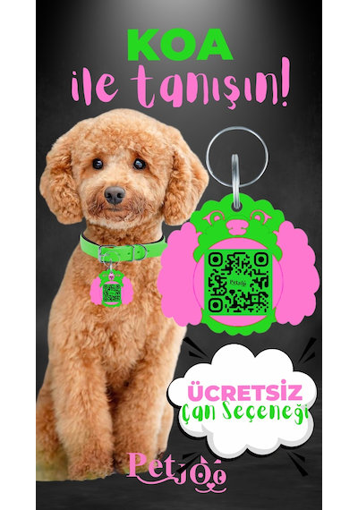 Petjoo 14.Koa Pembe-Yeşil Qr'lı Köpek Künyesi