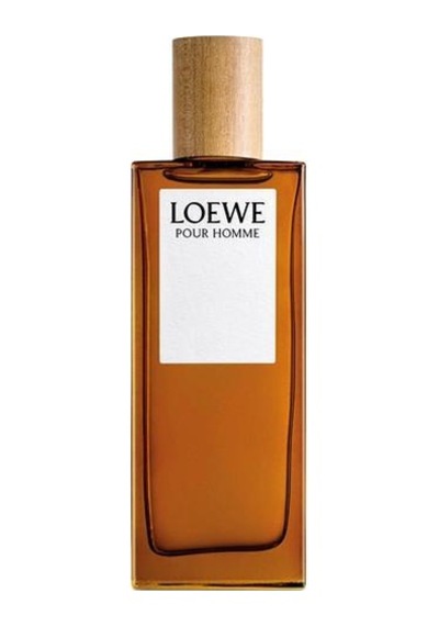 Loewe Pour Homme Edt 100ml Aromatik