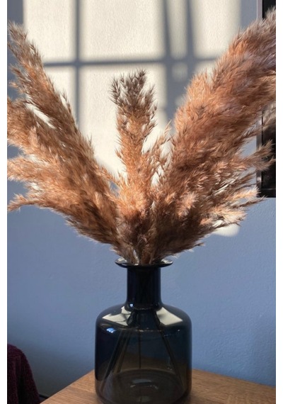 Gerçek Kuru Çiçek Pampas 7li Paket Doğal
