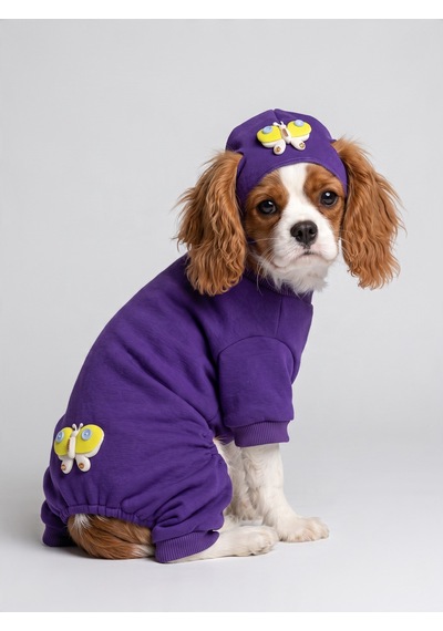 Violet Wings Köpek Bere Ve Tulum Kombini Mor Renk 3d Kelebek Aksesuarlı Penye Köpek Kıyafeti