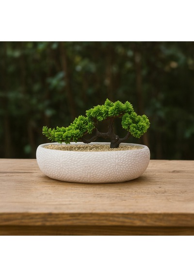 Desenli Elips Saksıda Bonsai - Renkli - 24x33 Cm
