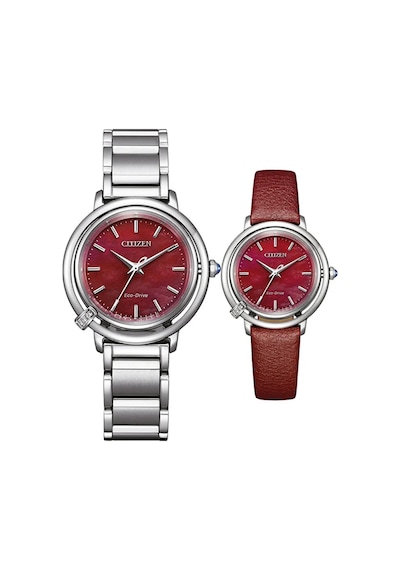 Citizen Em1090-78x Kadın Kol Saati Çelik