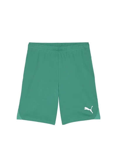 Puma Teamgoal Shorts Erkek Futbol Antrenman Şortu 70575205 Yeşil Yeşil