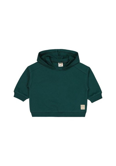 Civil Baby Civil Basic Timeless Kapüşonlu 6-18 Ay Sweatshirt Yeşil