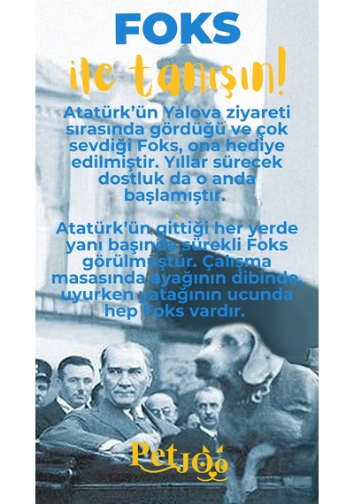 Petjoo 29.Foks Sarı-Mavi Qr'lı Köpek Künyesi