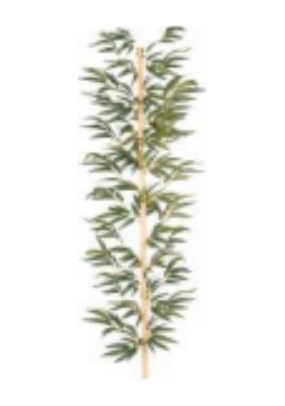 Yapay Bambu Dalı 210 Cm Çok Renkli
