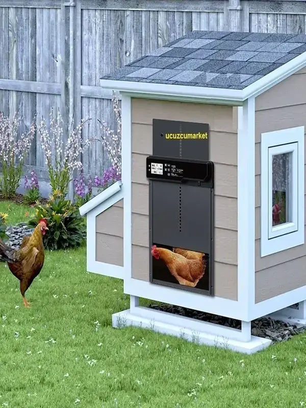 Kümes Kapısı Otomatık Digital Ekran Pilli