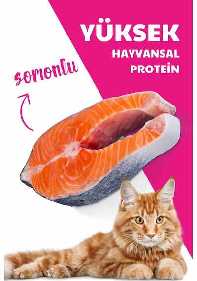 Herbamax Sterilised Kısırlaştırılmış Somonlu ve Pirinçli Yetişkin Kedi Maması 10 KG