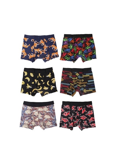Harry Jons Erkek 6'lı Desenli Renkli Pamuklu Premium Paket Boxer Karışık2 Karışık2