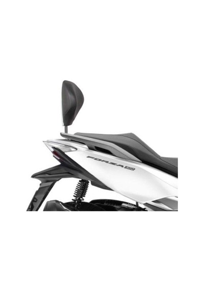 Shad Honda Forza 250/300 18-19 Sissy Bar Tek Renk