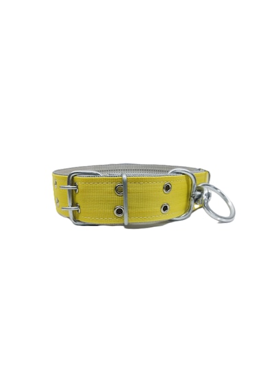 İri Ve Büyük Cinsler İçin Kanğal Köpek Tasması 80x5 Cm Sarı