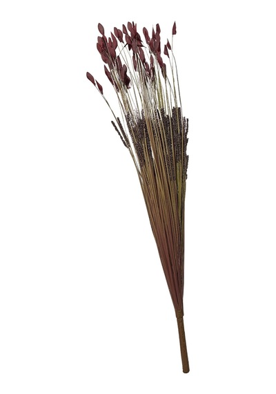 Pasabahce Grass 75 Cm Kırmızı - 1 Adet