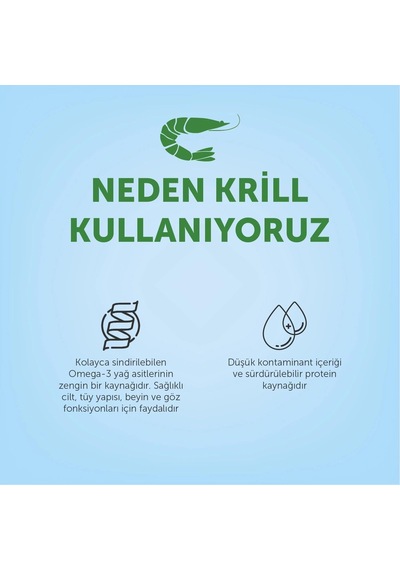 Kitten Kümes Hayvanlı Yavru Kedi Maması 400 Gr
