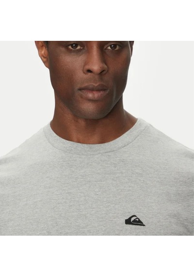 Quıksılver Quiksilver Basic Young Erkek Gri Tişört Sjsh Gri