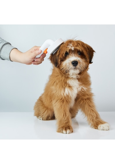 Petkit Tüy Toplayıcı Kedi Köpek Tarak Beyaz 2 (Resmi Distribütör Garantili)