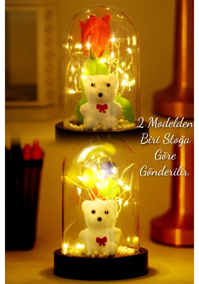 3 Modlu Led Işıklı Fanus İçinde Beyaz Ayıcık Detaylı Sevgiliye Hediyelik Dekoratif Gece Lambası