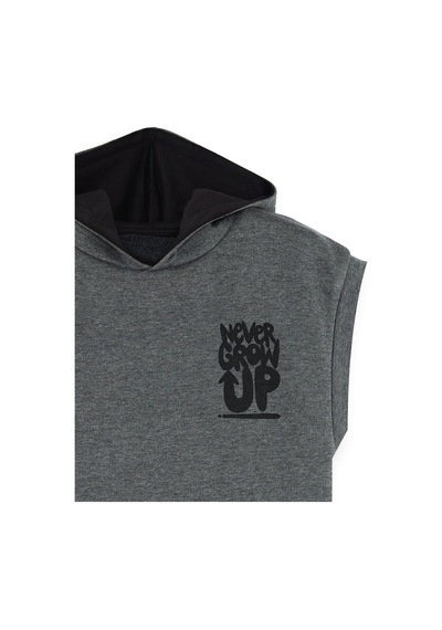 Denokids Erkek Çocuk Kapüşonlu Kolsuz Sweatshirt - Gri