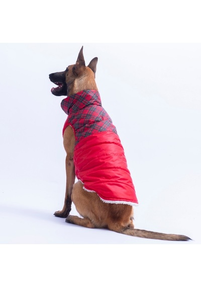 Kırmızı Plaid Ekose Desen Yelek Büyük Irk Köpek Yeleği Köpek Kıyafeti Köpek Yağmurluk