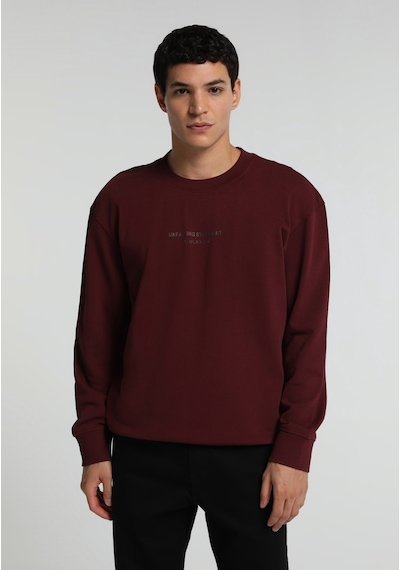 Colin's Colins Relaxed Fit Yuvarlak Yaka Düz Erkek Mor Sweatshirt Cl1082257 Q1.v2 Plm
