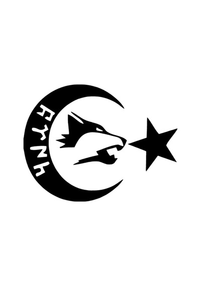 Göktürkçe Ay Yıldız Oto Sticker Siyah 25 X 20 Cm444