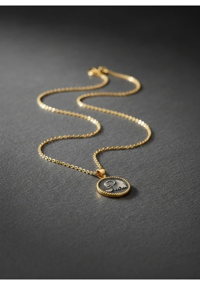 G&a Jewels - Güçlü Adımlar - 925 Ayar Oksitli Yaldız Altın Kaplama Gümüş Kolye Altın - Gümüş 40+5 Cm G&a Jewels - Güçlü Adımlar - 925 Ayar Oksitli Yaldız Altın Kaplama Gümüş Kolye Altın - Gümüş 40+5 Cm