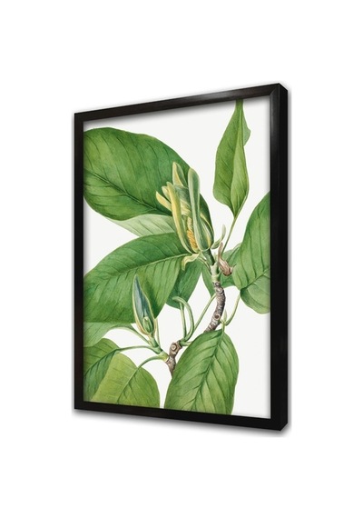 Yeşil Beyaz Yaprak Çerçeveli Mdf Tablo-172225