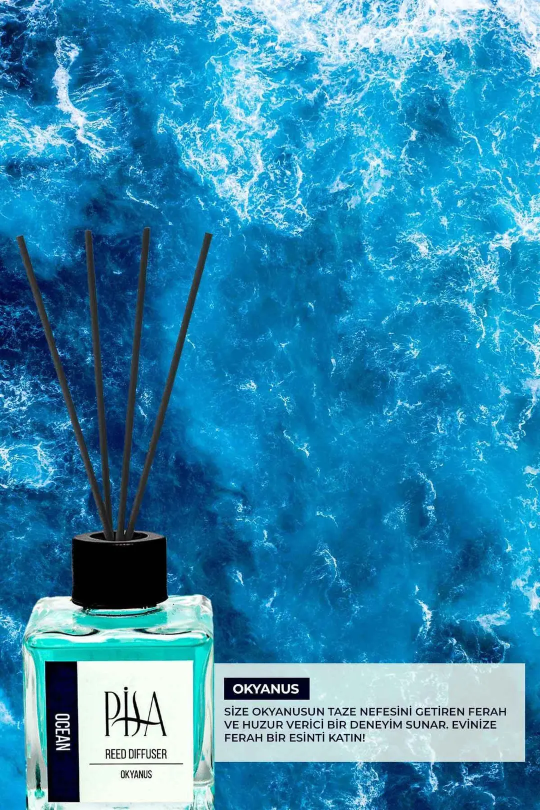 Pisa Okyanus Kokusu Çubuklu Oda Kokusu Ocean Reed Diffuser Amber - Okyanus - Pudra 100 ML