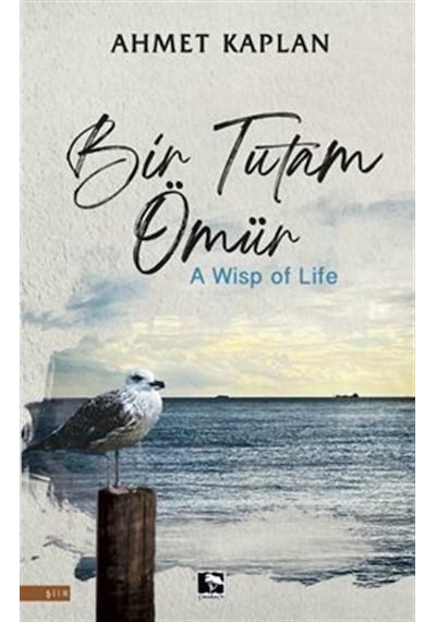 Bir Tutam Ömür - Ahmet Kaplan - Çınaraltı Yayınları