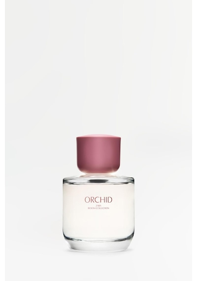 Zara Orchıd Kadın Parfümü EDP 90 ML