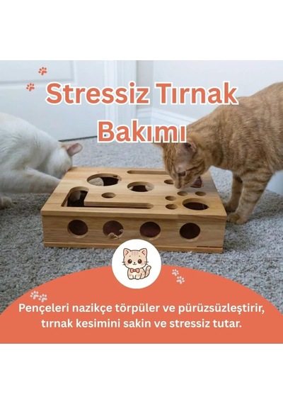 Ayrex Pet Kedikür Kedi Tırmalama Ve Oyun Kutusu Tırnak Törpüleyici İnteraktif Kedi Oyuncağı