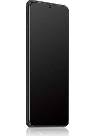 Bluecase Samsung Galaxy Uyumlu Note 10 Nano Mat Ekran Koruyucu