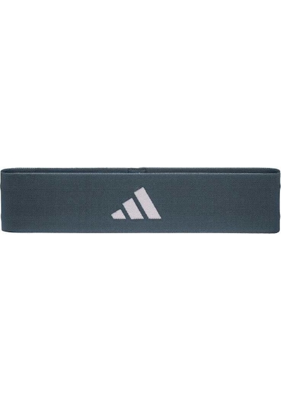 Adidas Heavy Direnç Bandı Legacy Blue Adtb-10705bl-nl