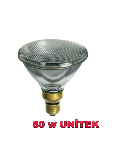 Isıtıcı Lamba Par 38 Gün Işiği 80 Watt