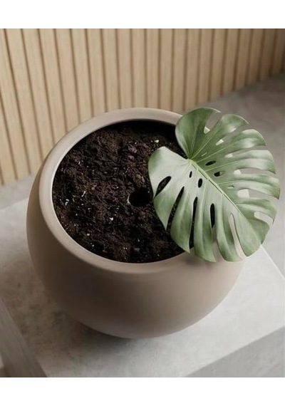 Modern Küre Saksı Orta Boy Dekoratif Salon Ve Bahçe Saksısı 20 Cm İçliksiz Diğer