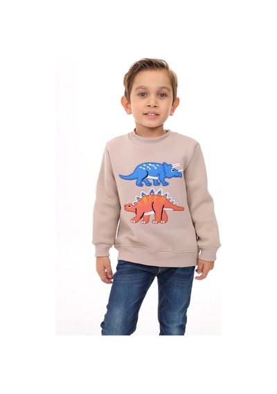 Toontoy Kids Toontoy Erkek Çocuk Relax Fit Bisiklet Yaka Baskılı Sweatshirt - 2iplik Bej