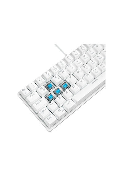 Rampage Plower K60 Blue Switch Kablolu 12 Işık Modlu Mekanik Oyuncu Klavye