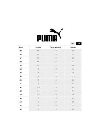 Puma 402632 02 Softrıde Cosmıc St Slıptech Beyaz-siyah Erkek Spor Beyaz