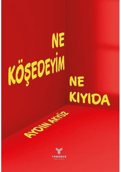 Ne Köşedeyim Ne Kıyıda - Aydın Akyüz - Theseus Yayınevi
