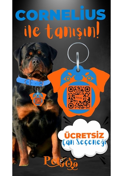 Petjoo 20.Cornelius Turuncu-Mavi Qr'lı Köpek Künyesi