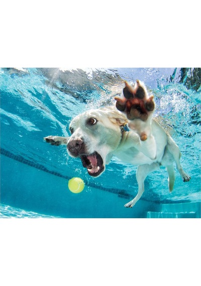 Prime 3d Su Altında Köpek Daisy Puzzle 100 Parça 20508